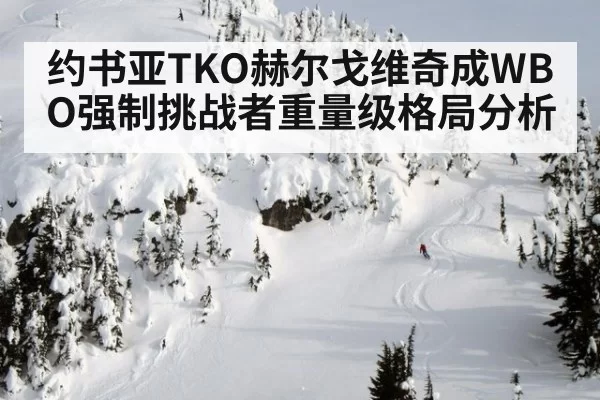 约书亚TKO赫尔戈维奇成WBO强制挑战者重量级格局分析